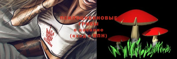 хмурый Балабаново