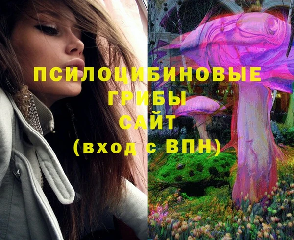 хмурый Балабаново